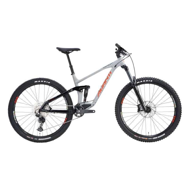 Avanti Hammer LT1 2025
