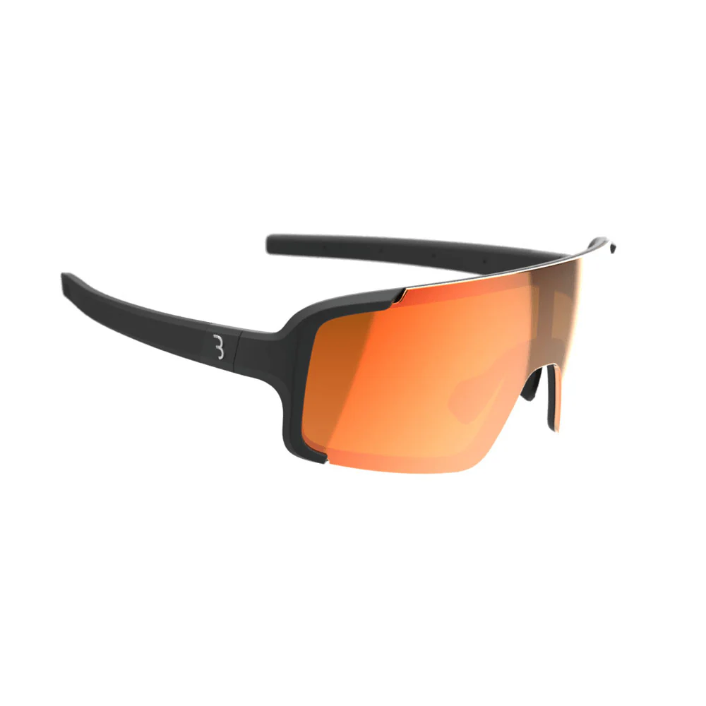 BBB Chester Sunglasses - Image 7