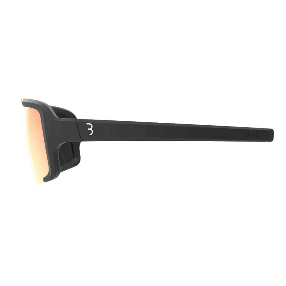 BBB Chester Sunglasses - Image 9