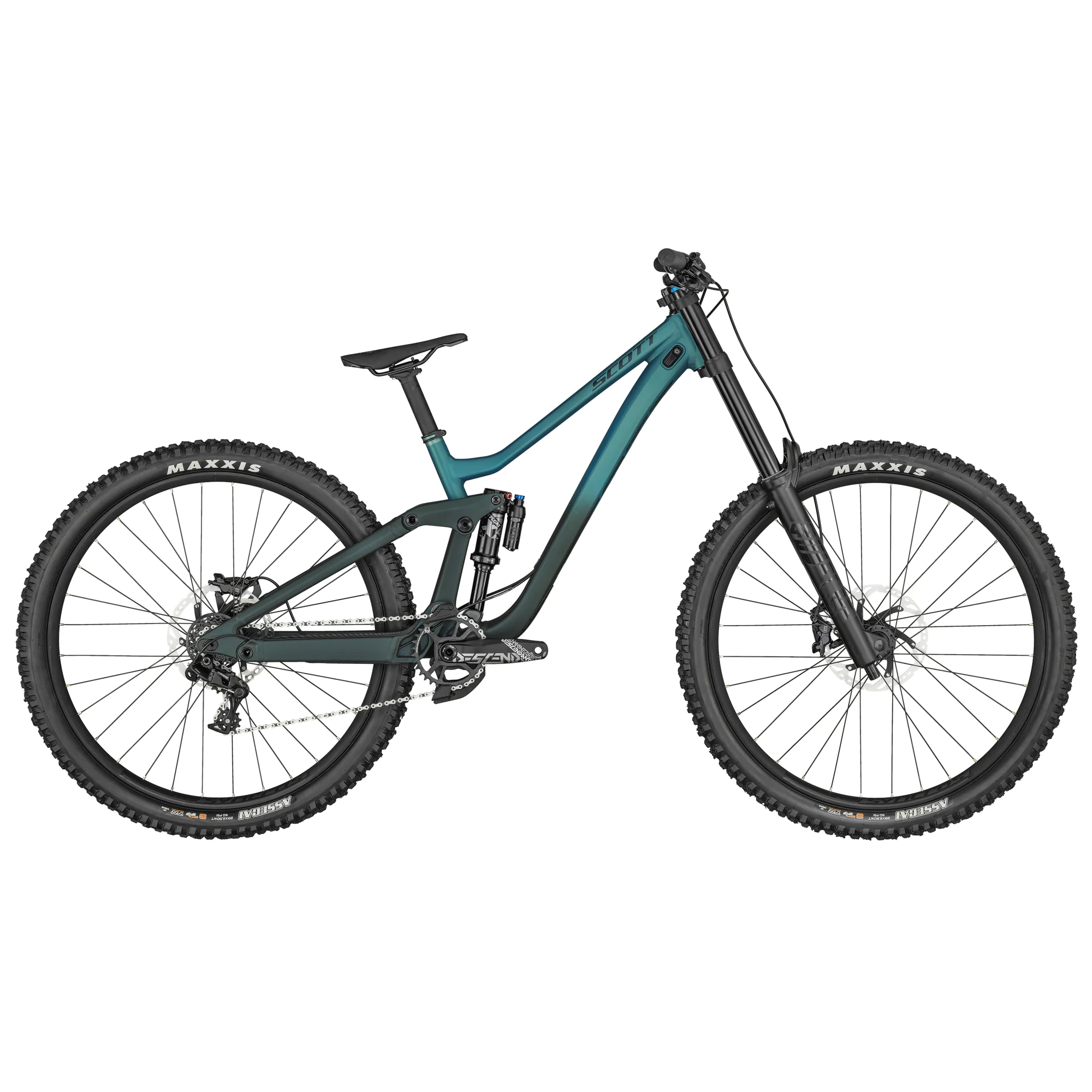 Scott Gambler 910 2024